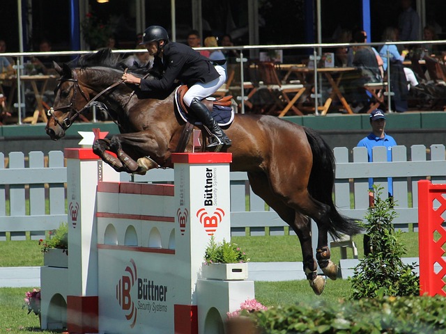 秀战绩的俱 秀战绩的俱