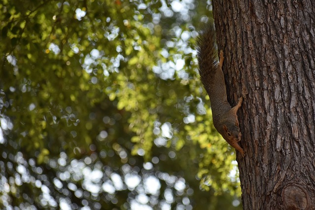 影響比賽的 影響比賽的