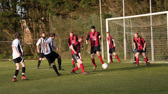 乒乓球比赛 乒乓球比赛